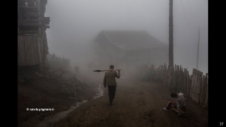 © natella grigalashvili 37 