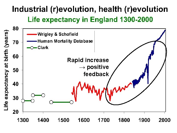 Rapid increase → positive feedback 