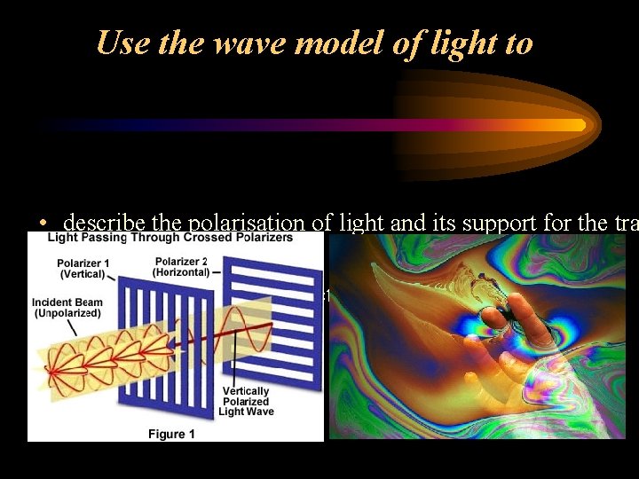 Use the wave model of light to • describe the polarisation of light and