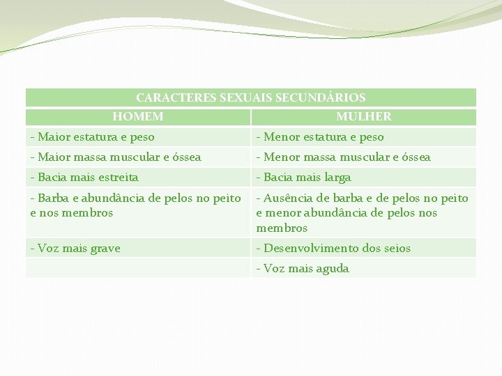 CARACTERES SEXUAIS SECUNDÁRIOS HOMEM MULHER - Maior estatura e peso - Menor estatura e