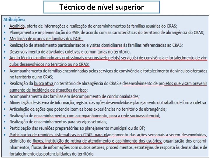 Técnico de nível superior 