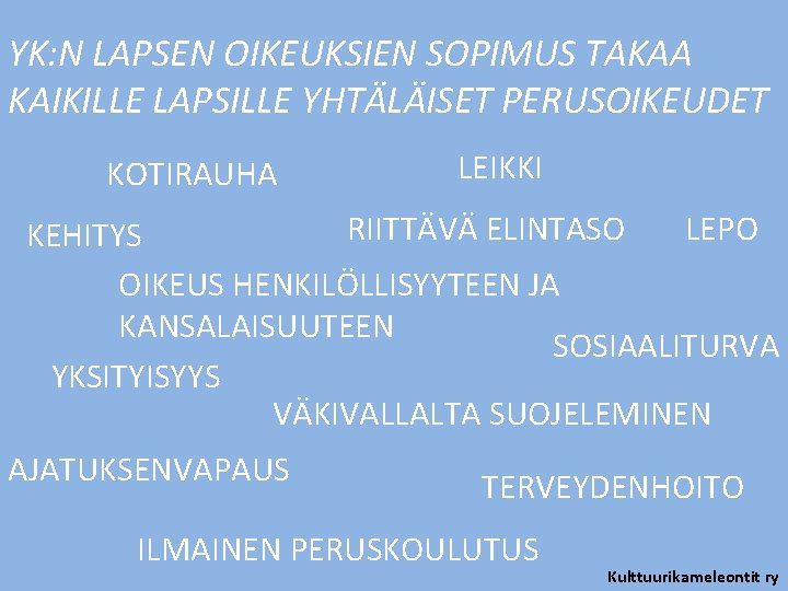 YK: N LAPSEN OIKEUKSIEN SOPIMUS TAKAA KAIKILLE LAPSILLE YHTÄLÄISET PERUSOIKEUDET KOTIRAUHA LEIKKI RIITTÄVÄ ELINTASO