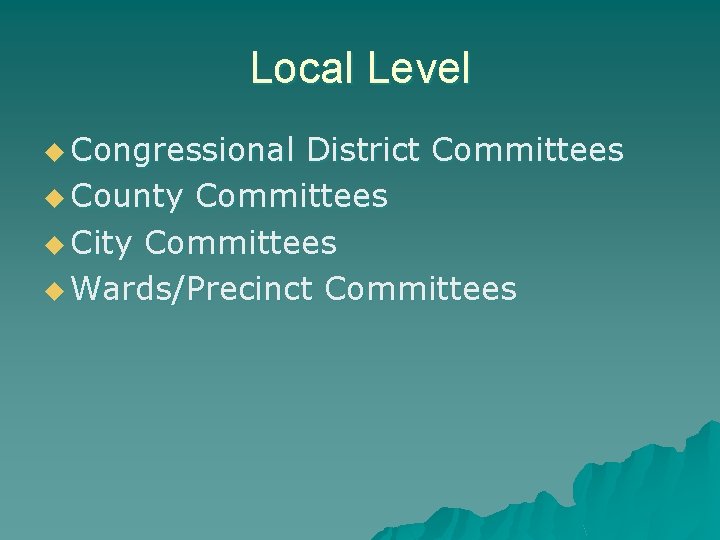 Local Level u Congressional District Committees u County Committees u City Committees u Wards/Precinct