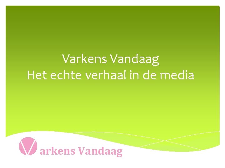  Varkens Vandaag Het echte verhaal in de media 