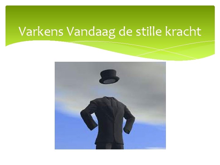 Varkens Vandaag de stille kracht 