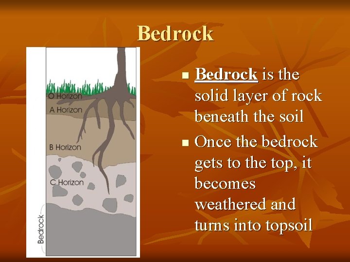 Bedrock is the solid layer of rock beneath the soil n Once the bedrock