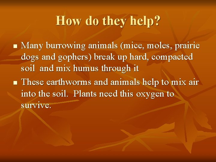 How do they help? n n Many burrowing animals (mice, moles, prairie dogs and