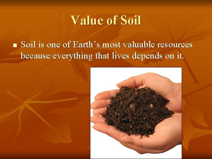 Value of Soil n Soil is one of Earth’s most valuable resources because everything
