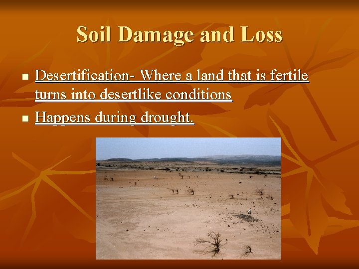 Soil Damage and Loss n n Desertification- Where a land that is fertile turns