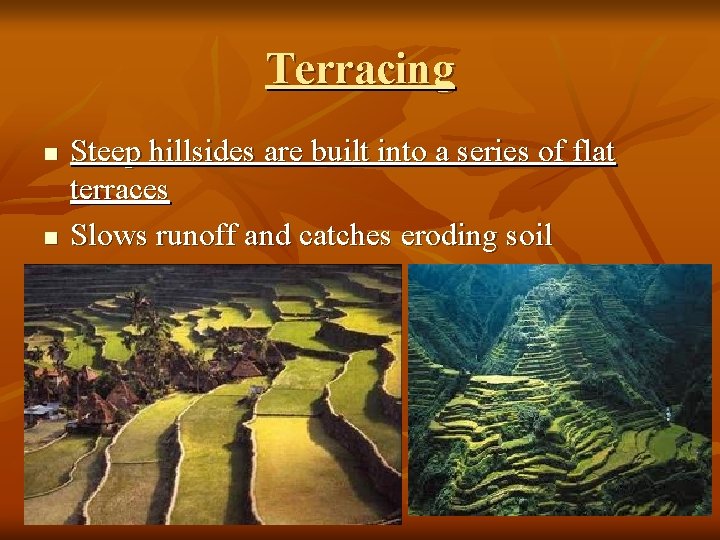 Terracing n n Steep hillsides are built into a series of flat terraces Slows