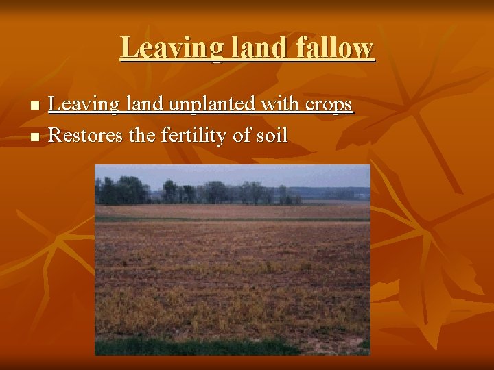 Leaving land fallow n n Leaving land unplanted with crops Restores the fertility of