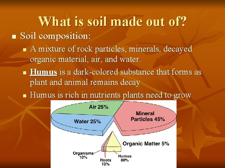 What is soil made out of? n Soil composition: n n n A mixture