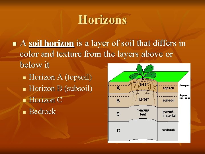 Horizons n A soil horizon is a layer of soil that differs in color