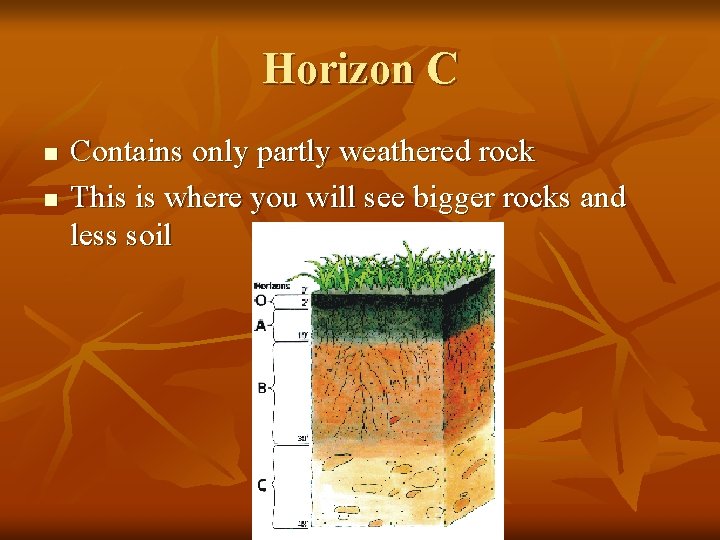 Horizon C n n Contains only partly weathered rock This is where you will