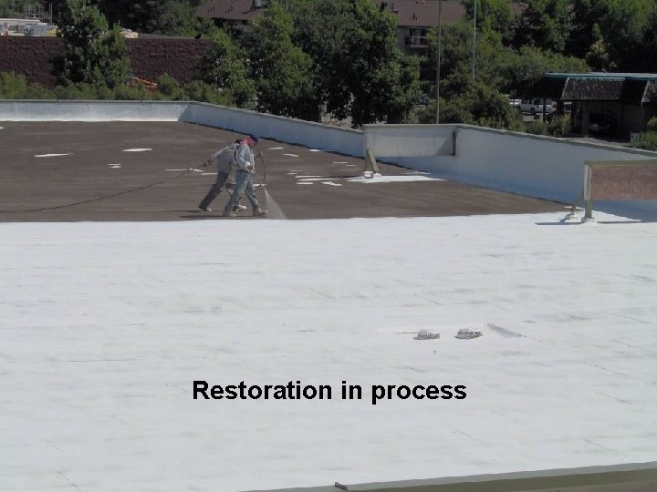Restoration in process 