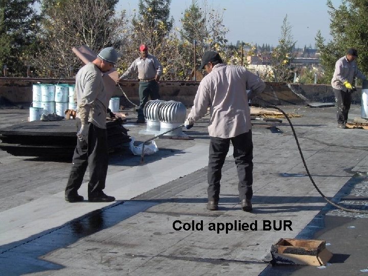 Cold applied BUR 