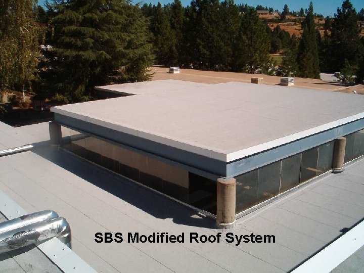 SBS Modified Roof System 