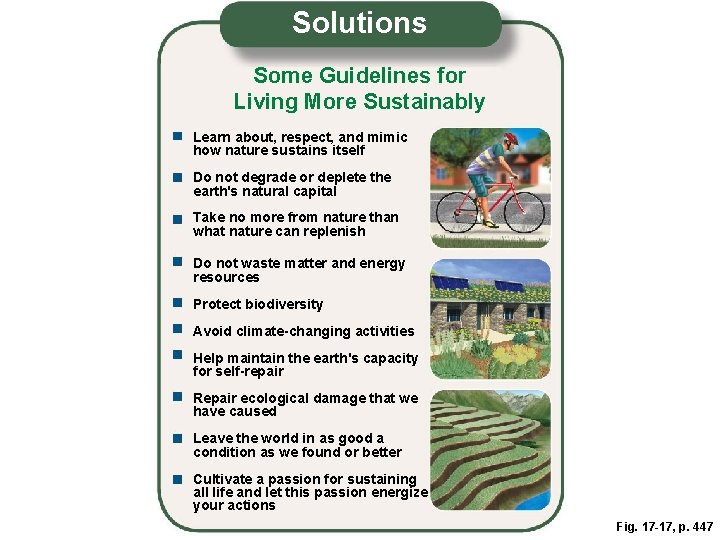 Solutions Some Guidelines for Living More Sustainably Learn about, respect, and mimic how nature