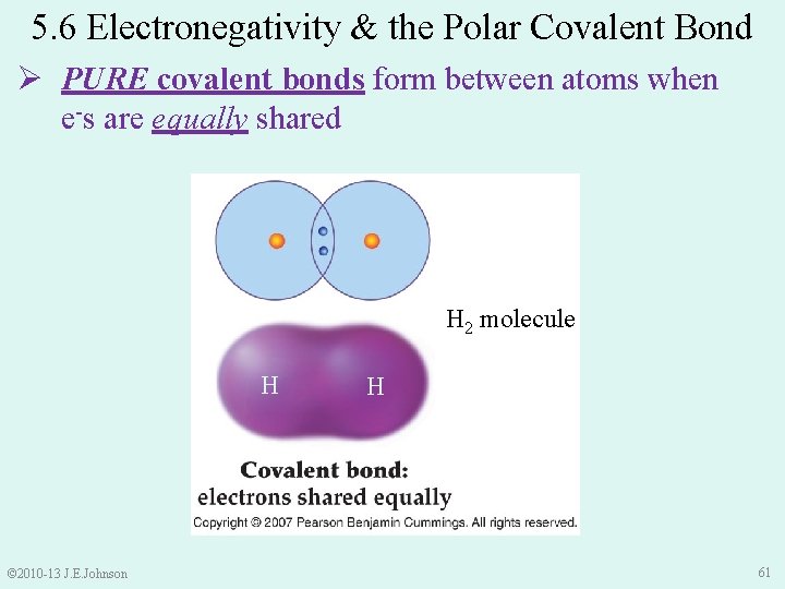 5. 6 Electronegativity & the Polar Covalent Bond Ø PURE covalent bonds form between