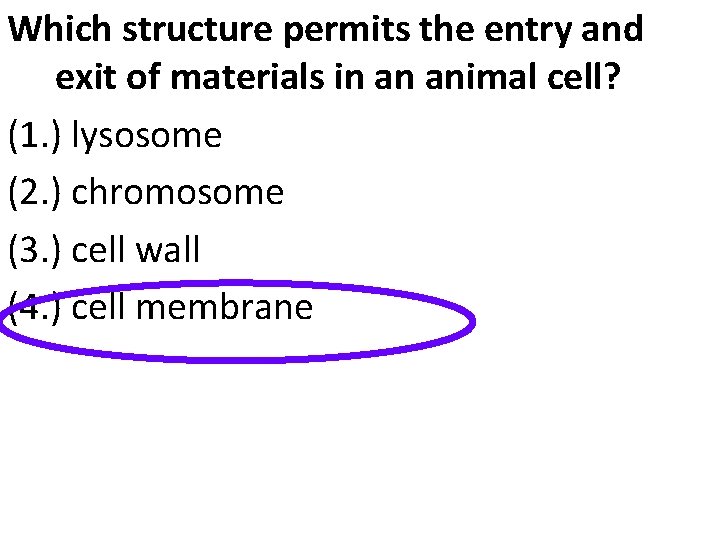 Which structure permits the entry and exit of materials in an animal cell? (1.