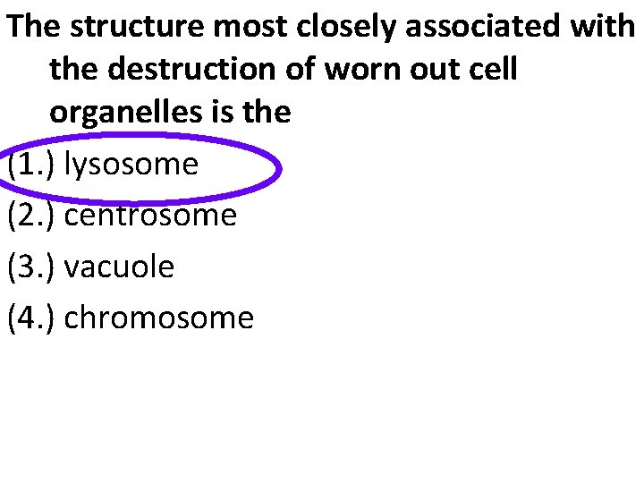 The structure most closely associated with the destruction of worn out cell organelles is