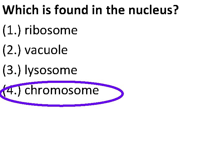 Which is found in the nucleus? (1. ) ribosome (2. ) vacuole (3. )