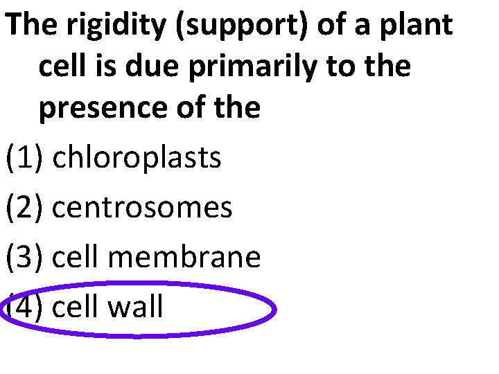 The rigidity (support) of a plant cell is due primarily to the presence of