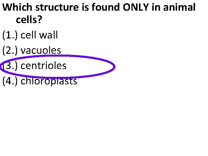 Which structure is found ONLY in animal cells? (1. ) cell wall (2. )