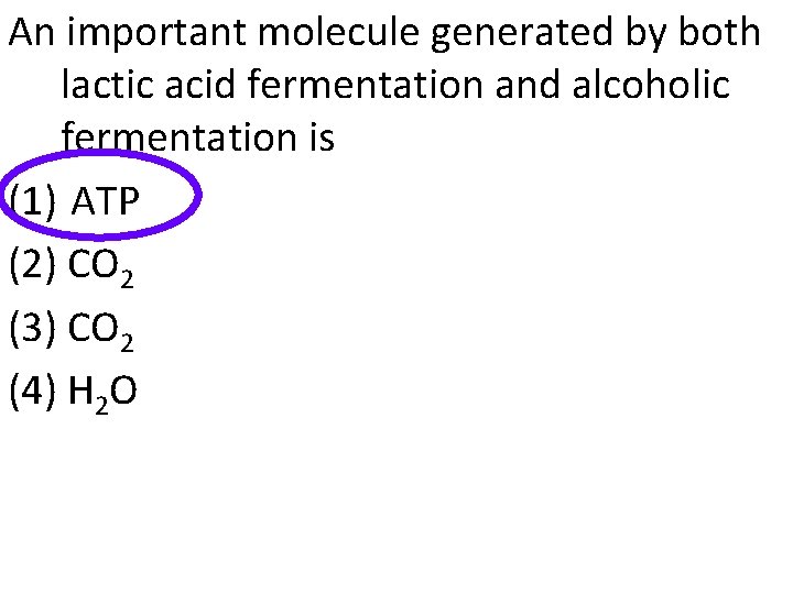 An important molecule generated by both lactic acid fermentation and alcoholic fermentation is (1)