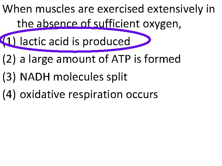When muscles are exercised extensively in the absence of sufficient oxygen, (1) lactic acid