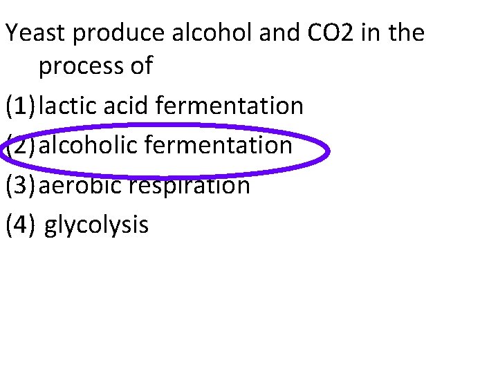 Yeast produce alcohol and CO 2 in the process of (1) lactic acid fermentation