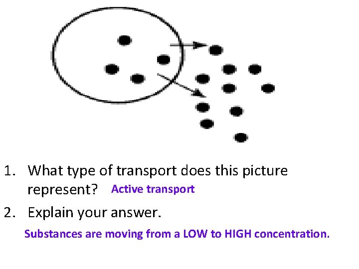 1. What type of transport does this picture represent? Active transport 2. Explain your