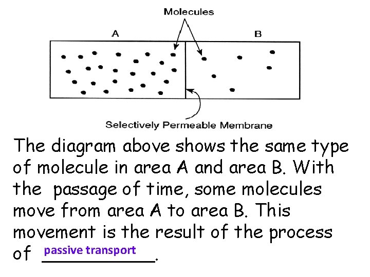 The diagram above shows the same type of molecule in area A and area
