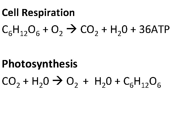 Cell Respiration C 6 H 12 O 6 + O 2 CO 2 +