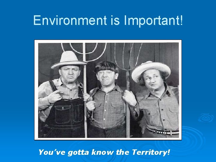 Environment is Important! You’ve gotta know the Territory! 