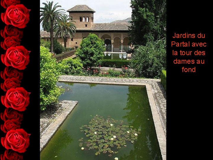 Jardins du Partal avec la tour des dames au fond 