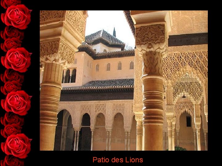 Patio des Lions 