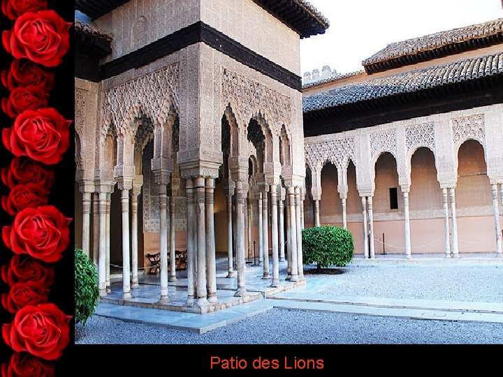 Patio des Lions 