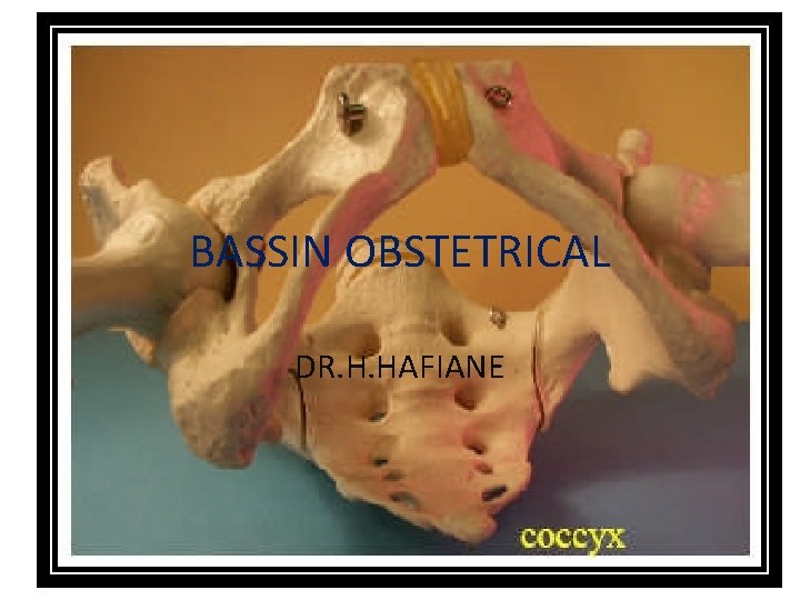BASSIN OBSTETRICAL DR. H. HAFIANE 