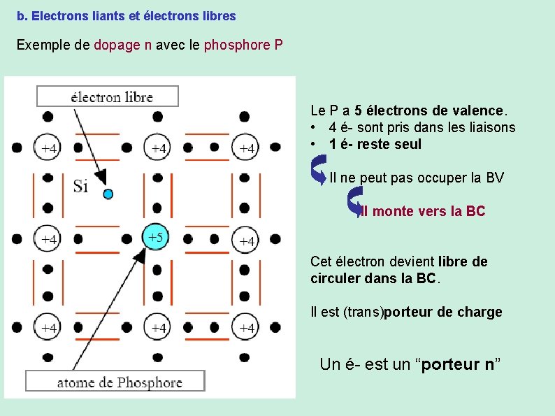 b. Electrons liants et électrons libres Exemple de dopage n avec le phosphore P