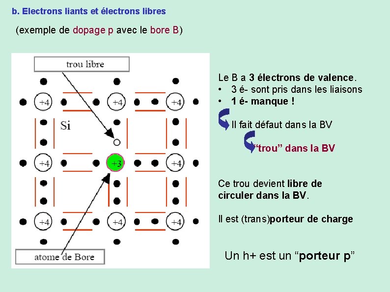 b. Electrons liants et électrons libres (exemple de dopage p avec le bore B)