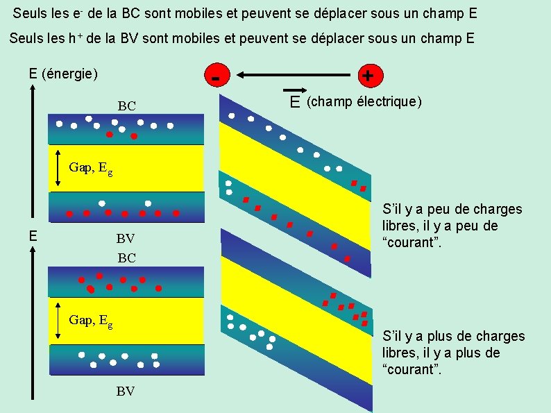 Seuls les e- de la BC sont mobiles et peuvent se déplacer sous un