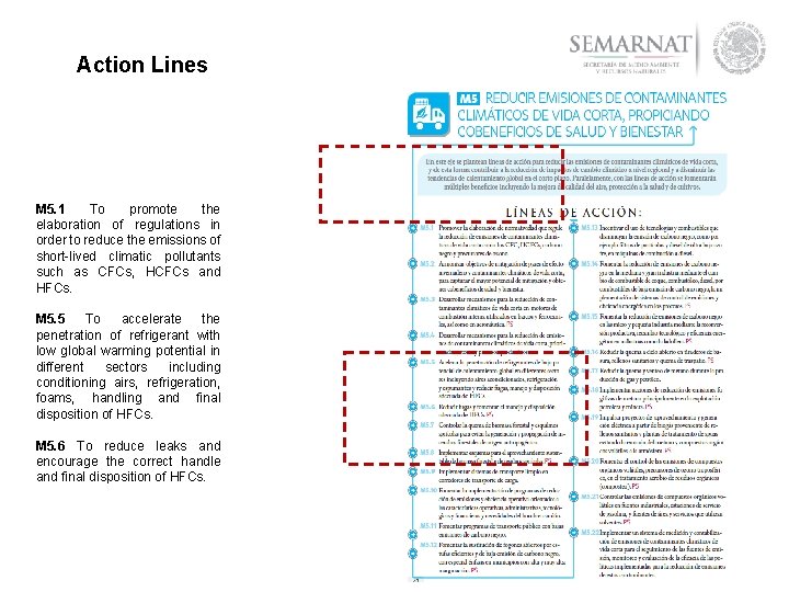 Action Lines M 5. 1 To promote the elaboration of regulations in order to