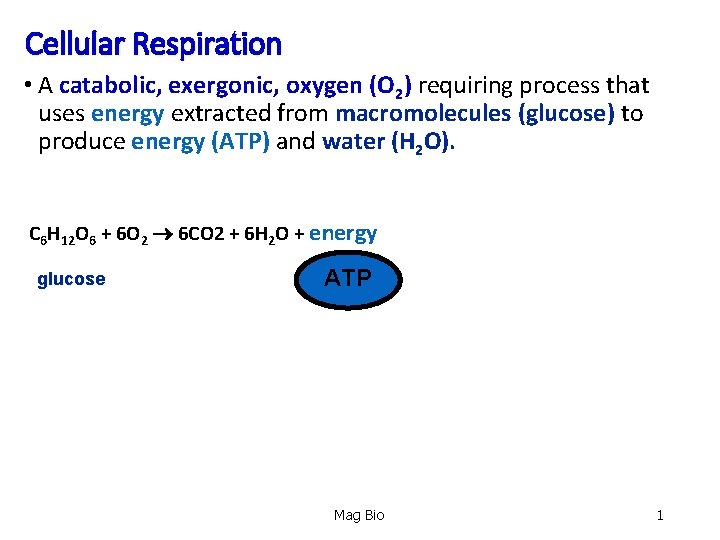 Cellular Respiration • A catabolic, exergonic, oxygen (O 2) requiring process that uses energy