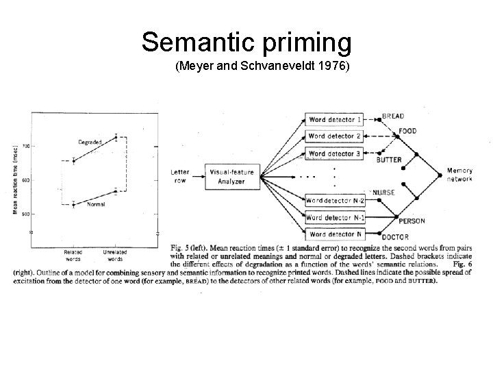 Semantic priming (Meyer and Schvaneveldt 1976) 