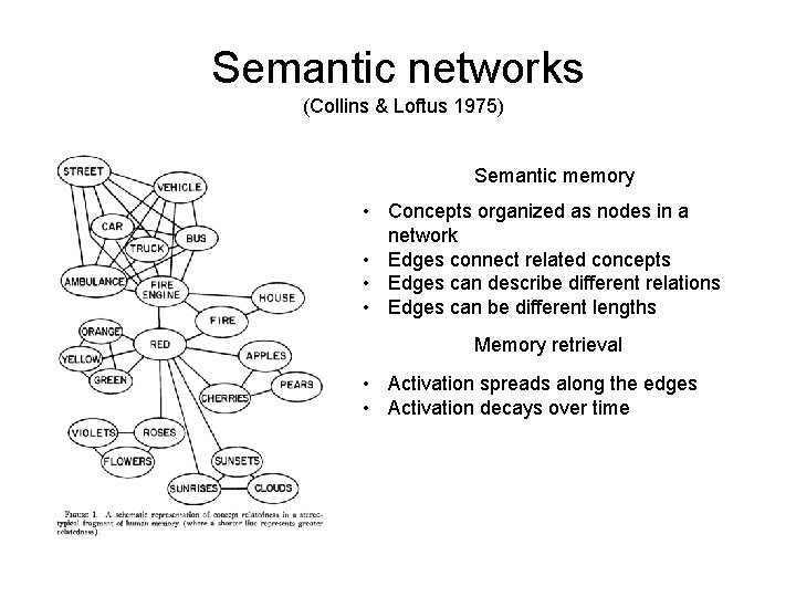 Semantic networks (Collins & Loftus 1975) Semantic memory • Concepts organized as nodes in