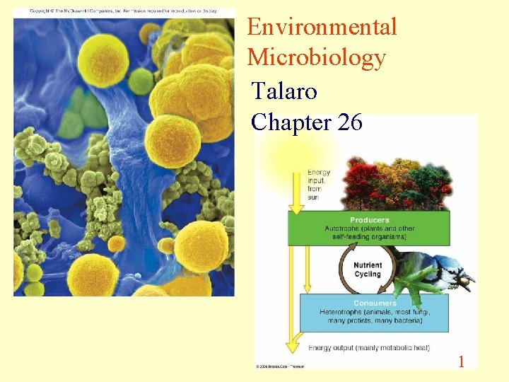 Environmental Microbiology Talaro Chapter 26 1 