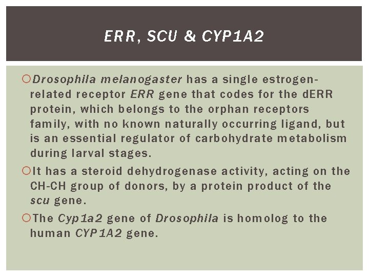 ERR, SCU & CYP 1 A 2 Drosophila melanogaster has a single estrogenrelated receptor