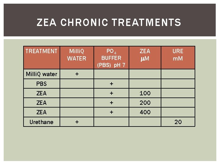 ZEA CHRONIC TREATMENTS TREATMENT Milli. Q WATER Milli. Q water + PO 4 BUFFER