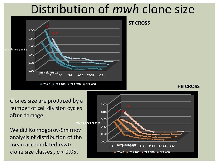 Distribution of mwh clone size 1. 00 ** 0. 80 mwh clones per fly